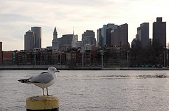 Вид от корабля на центр Бостона