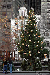 NY Tree ;)