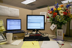 А вот так выглядит мой рабочий стол - цветы очень к месту. ;)
