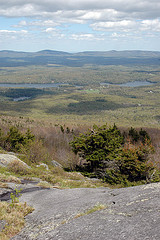 Чуть выше деревьев