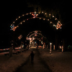 Ходили на Festival of Lights - небольшой парк, у нас рядом, зимой завешивают всякими рождественскими гирляндами.