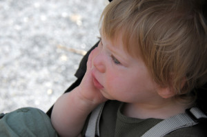 Максик недавно проснулся; смотрит на фламинго.