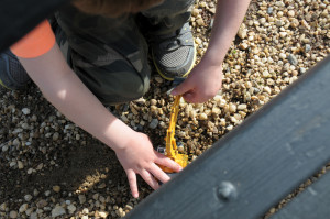 Самое важное - не забыть покопать заботливо прихваченным с собой экскаватором